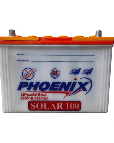 Phoenix Solar-100
